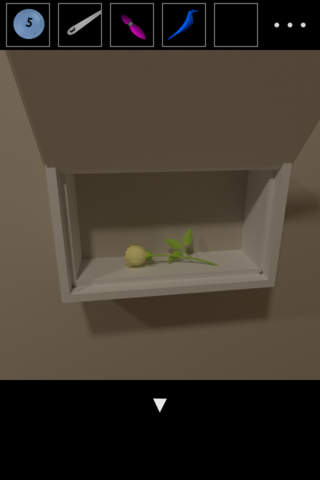 Escape Game: Three Roses - náhled