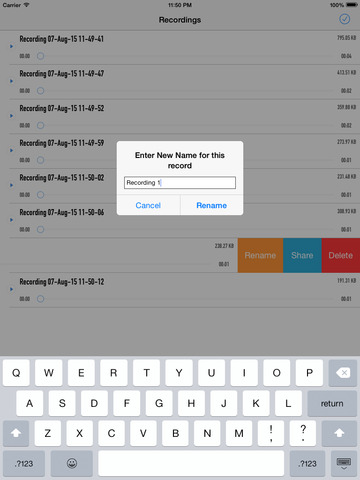 Any Voice Recorder 2 - náhled