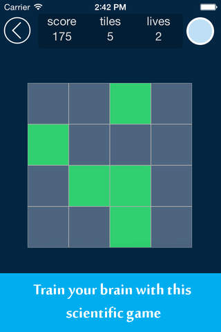 Magic Matrix Memory for kids toddlers and adults - náhled