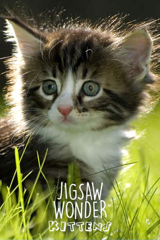 Jigsaw Wonder Kittens Puzzles for Kids Free - náhled