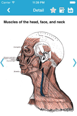 Gray's Anatomy Pro 2014 - náhled