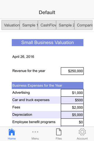 Business Valuation Pro - náhled