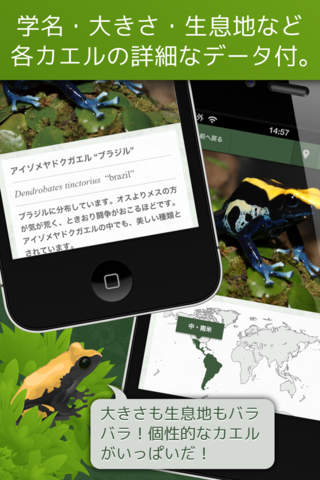 あわしま世界のカエル図鑑FREE - náhled