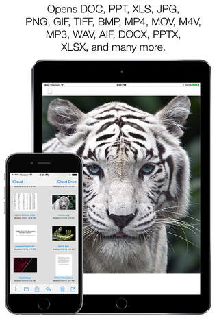 Mach Drive - Cloud File Manager - náhled