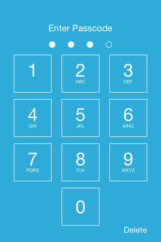 Password Manager and Secure Wallet. - náhled