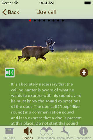 Roebuck Hunt - náhled