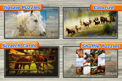 Mighty Horses - Real Horse Picture Puzzle Games fo - náhled