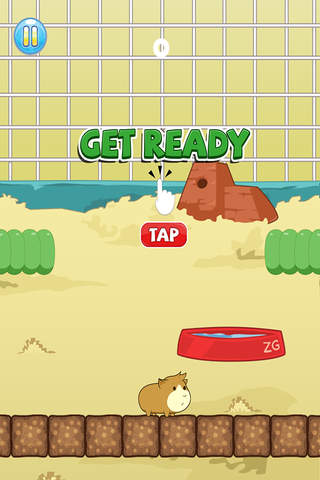 Guinea Pig Escape! - Jump Fall Cage Hero - náhled