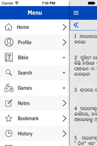 Oriya Bible - náhled