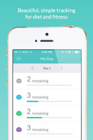 Daily Fitness Tracker - náhled