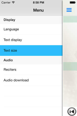 Surah Ya-Sin (سورة يس) - náhled