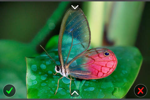 ProofQuick for iOS - náhled