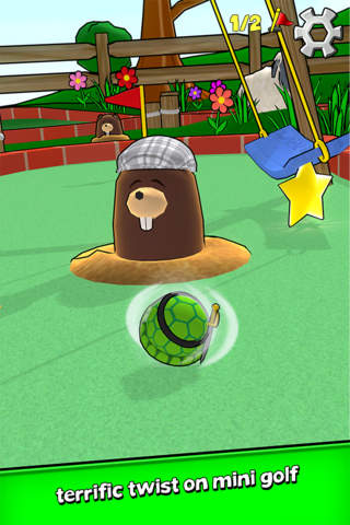 turtle tumble - náhled