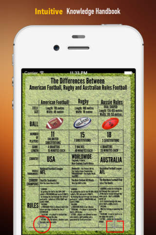 American Football 101: Quick Learning Reference wi - náhled