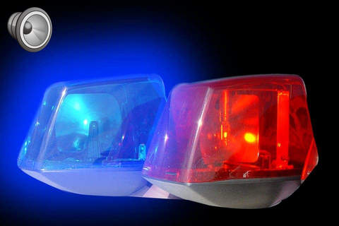 Police light and siren - náhled