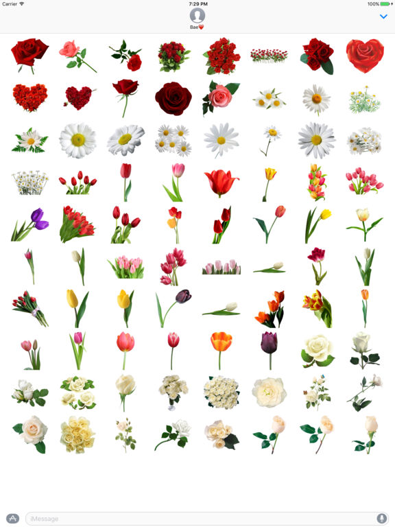 Flowers StickersPack screenshot 5