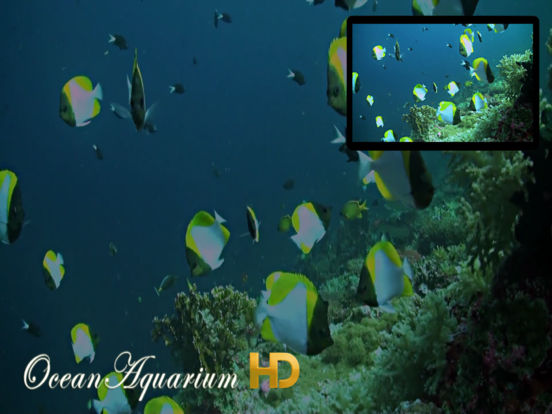 Ocean Aquarium HD screenshot 8
